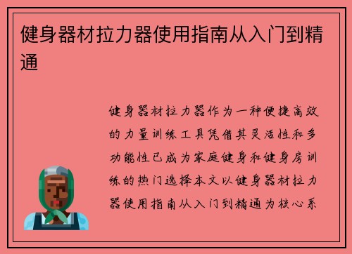 健身器材拉力器使用指南从入门到精通