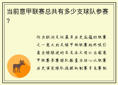 当前意甲联赛总共有多少支球队参赛？